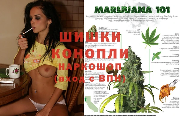 гашиш Арсеньев