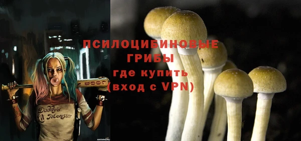 трава Балахна