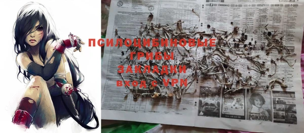 бошки Аркадак