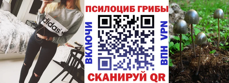 Псилоцибиновые грибы Cubensis  Купить закладки  Серов 